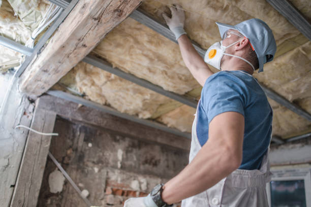Best Geographic-Specific Insulation Services in Caruthersville, MO