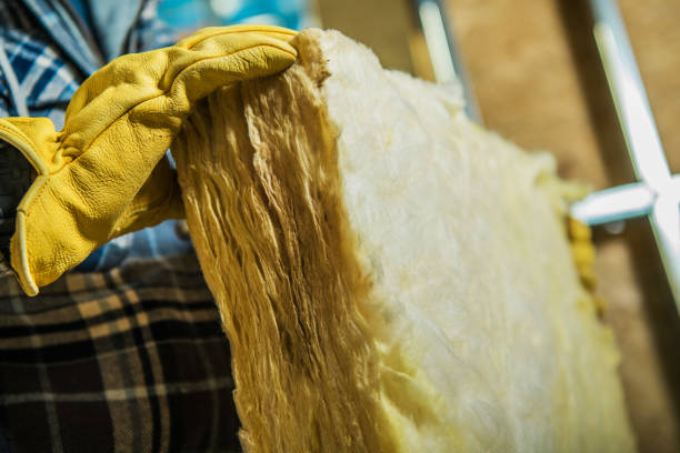 Best DIY Insulation Kits and Guidance in Caruthersville, MO