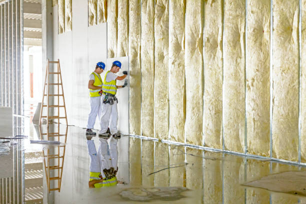 Best Eco-Friendly Insulation in Caruthersville, MO